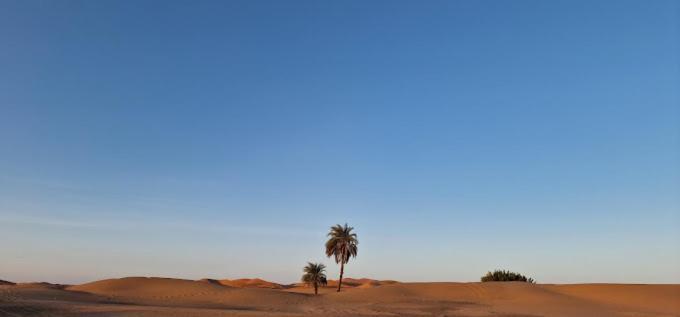 Kasbah Hotel Panorama Мерцуга Екстериор снимка